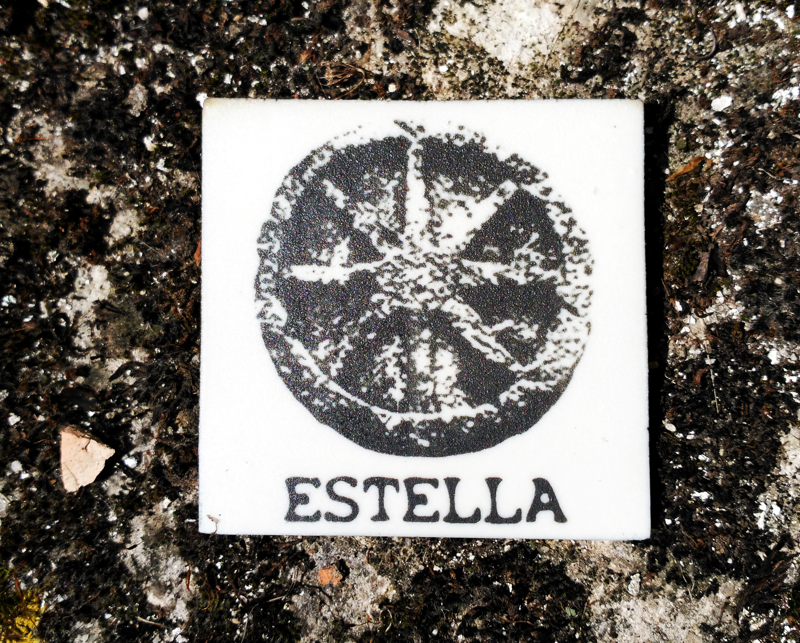 imán Estella-Lizarra