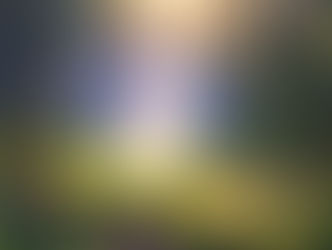 Когда человек попадает в природу, это все равно что войти в портал здоровья.