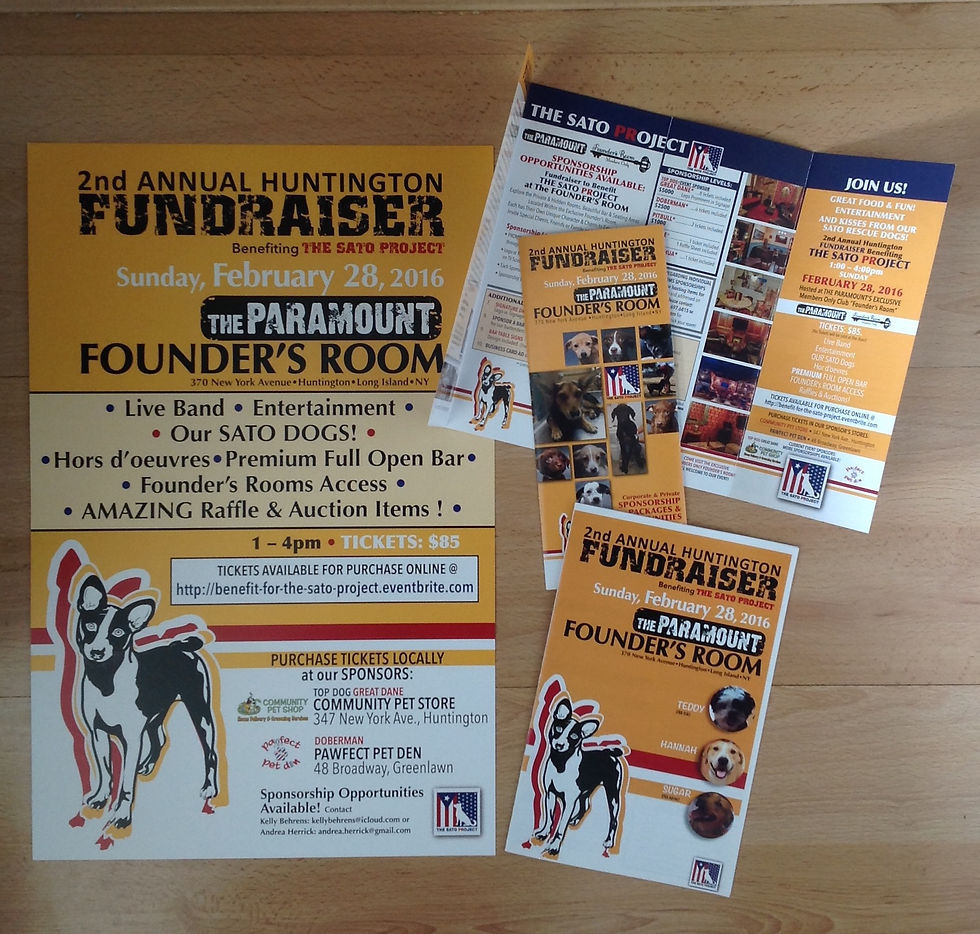 Branded Fundraiser Campaign