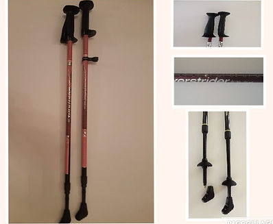 Collage exerstrider.jpg