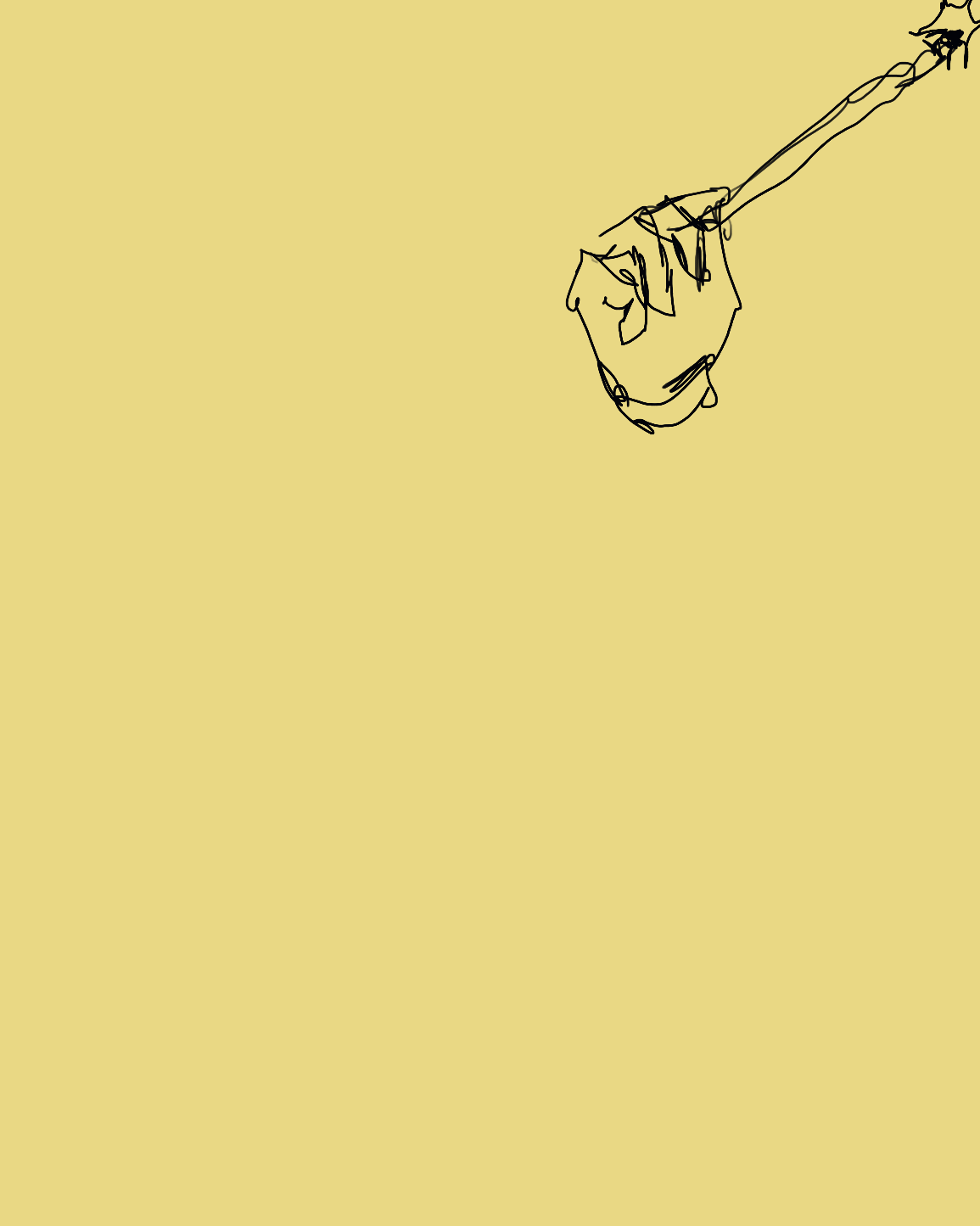 Untitled_Artwork 5.gif