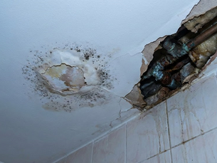 The Pipe Leak That Starts Small But Ends in Renovation Damage