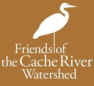 Friends-of-Cache-River-Watershed-768x765.webp
