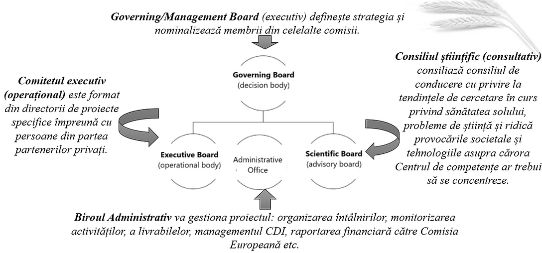 ORGANIZARE CENTRU_2.png