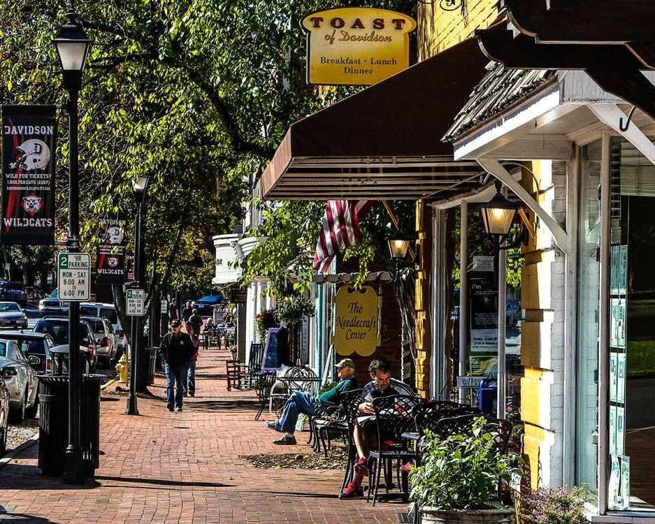 Tree Services in Davidson, NC