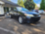 Image 191.jpeg