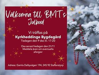 Skärmavbild 2025-10-30 kl. 11_edited.jpg