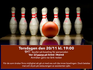 Skärmavbild 2025-10-29 kl. 14.47.03.png