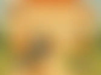 Přihláška k zápisu školy do rejstříku škol