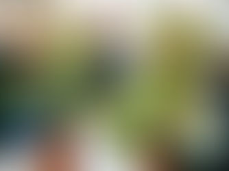 bambini che giocano a decorare delle piccole piante in vaso in una classe