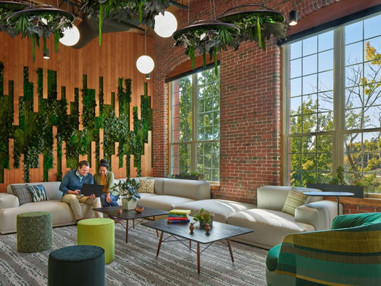 Organ Manufacturing Group R&D Office Renovation: Un Design Ristorativo e Biofilico