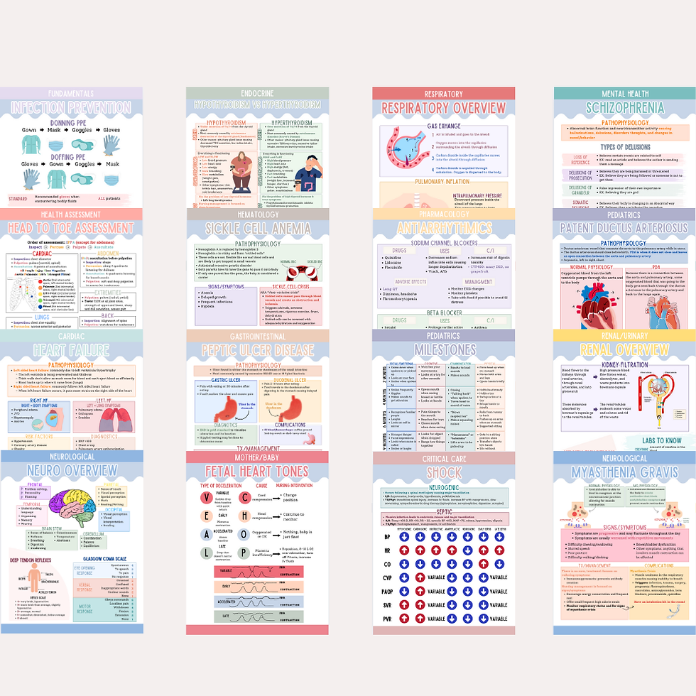 Thumbnail: Hard Copy Nursing School Guide