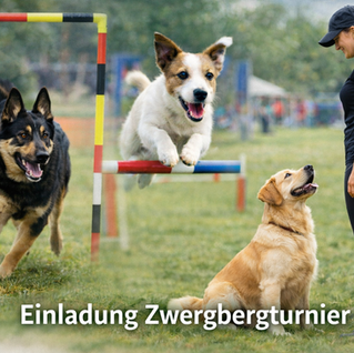 Ausschreibung Zwergbergturnier