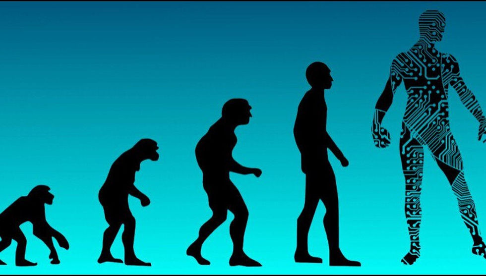 imagen de un ponguido evolucionando en sus distintas, mostrando 5 cuerpos diferentes en forma creciente y evolutiva etapas hasta el homo sapiens