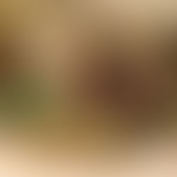 Exklusives Schmuckhandwerk von Aranya’s Art: Handgefertigte Makramee-Ohrringe in Weinrot mit dunklen Edelsteinperlen, präsentiert auf einer nachhaltigen Zero Waste Heuverpackung. Dekoriert mit einer Trockenrose und roten Beeren in einer natürlichen Boho-Ästhetik.