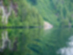Green of forest to water's edge and reflection n ripples of passing boat in Alaska..jpg