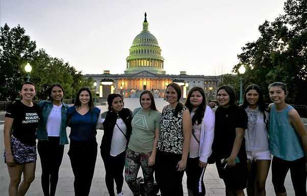 Capitol and the Fellows .jpg