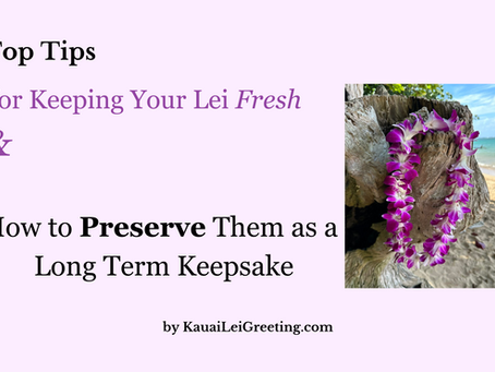 Top Tips for Keeping Your Lei Fresh and How to Preserve Them as a Long-Term Keepsake