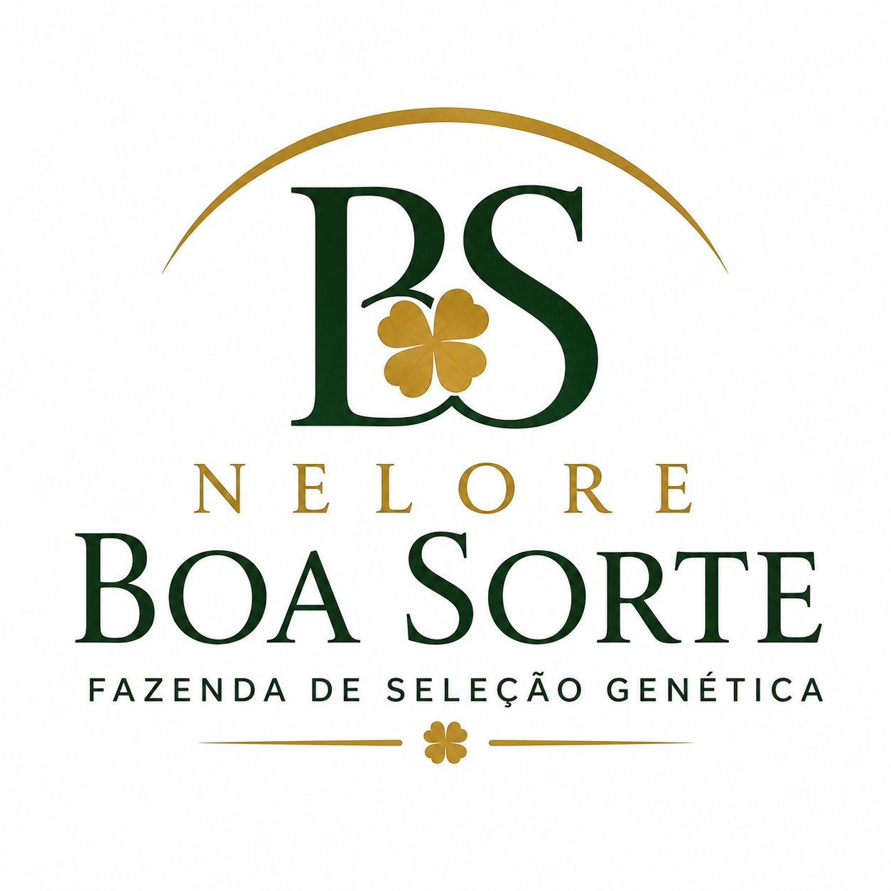 Foto do escritor: Nelore Boa Sorte