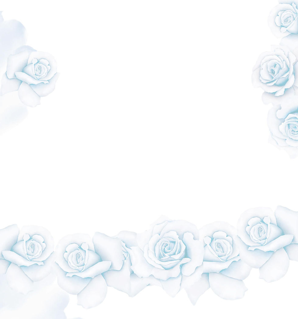 banner19.jpg