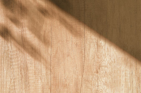 Wooden Surface_edited.jpg