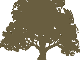 sycamore-logo-with-text-03-14-13-1-.png