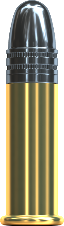 Miniaturbild: .22 LR