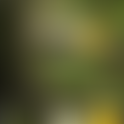 アップデート報告 #4