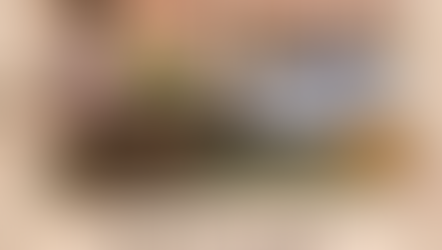 Japanese Tea Ceremony Experience