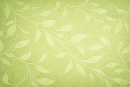 Green Banner Background.png