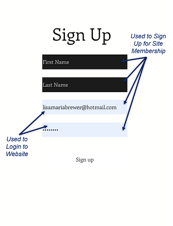 login modal.png