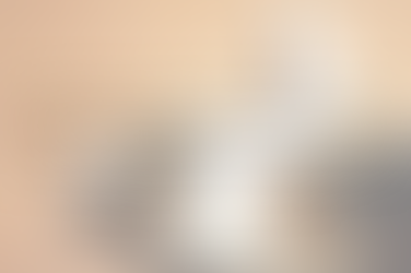 Être en sécurité, ou comment rendre votre chien plus serein.