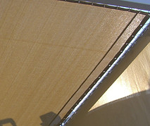 Lace On Cropped.jpg