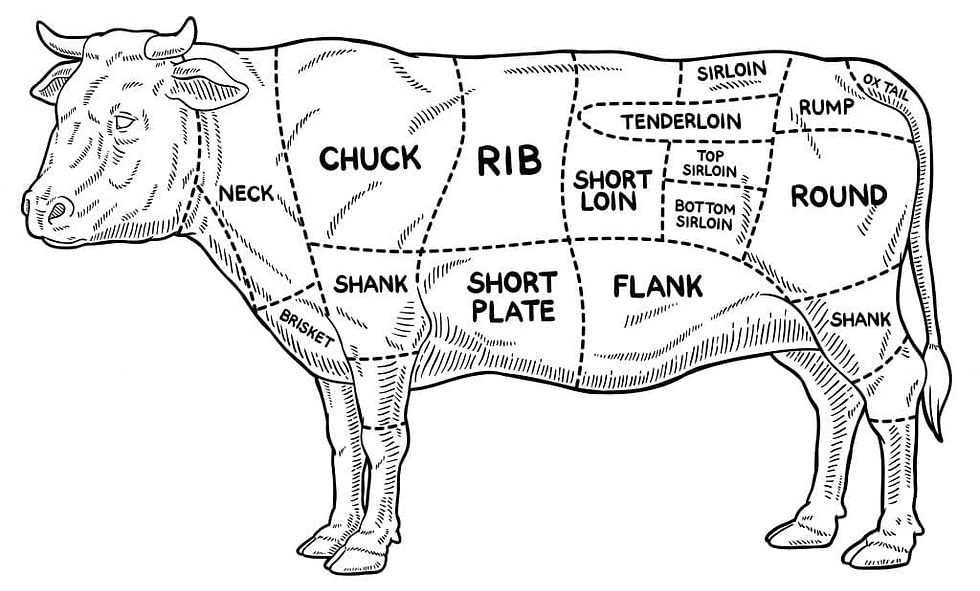 cow.jpg