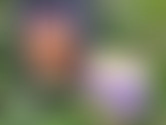 L'enfant Océan - Jean-Claude Mourlevat