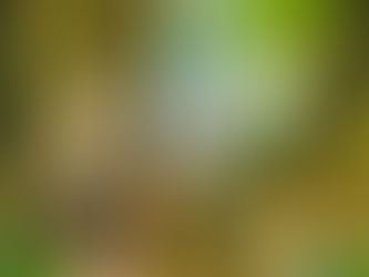 La Saison des Adieux - Mickaël Brun-Arnaud