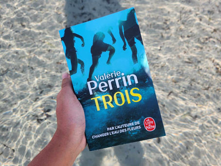 Trois - Valérie Perrin
