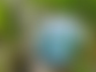 The wicked king - Holly Black