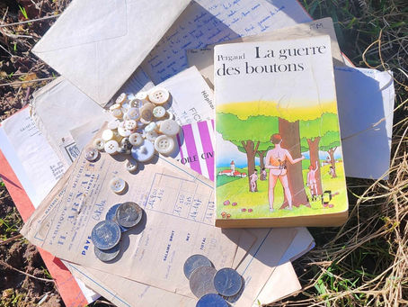 La guerre des boutons - Louis Pergaud