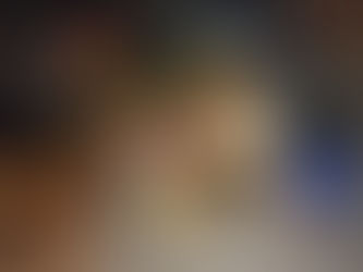 Le Chevalier au bouclier vert - Odile Weulersse