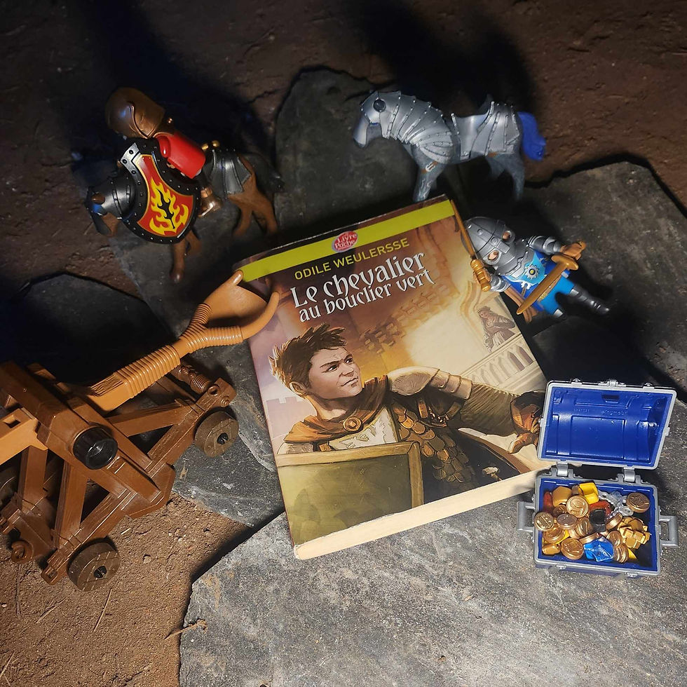 Le Chevalier au bouclier vert - Odile Weulersse