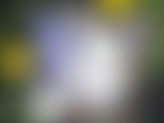 Le Maître des arcanes - Dana B. Chalys