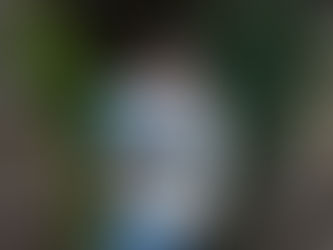 Allunia, tome 2 - Tiphs