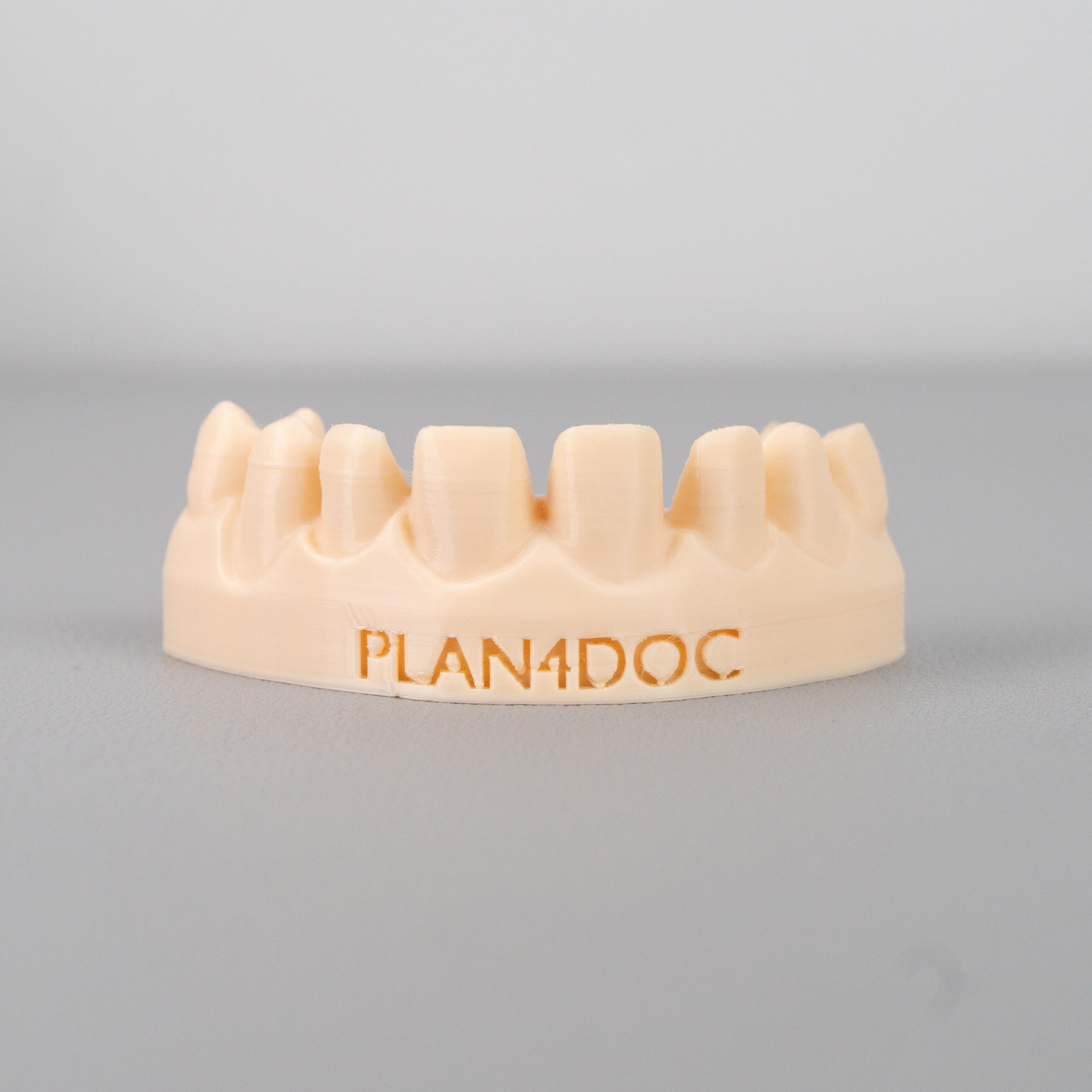 Modelo/manequim barato para treinar anatomia e escultura dos dentes anteriores facetas