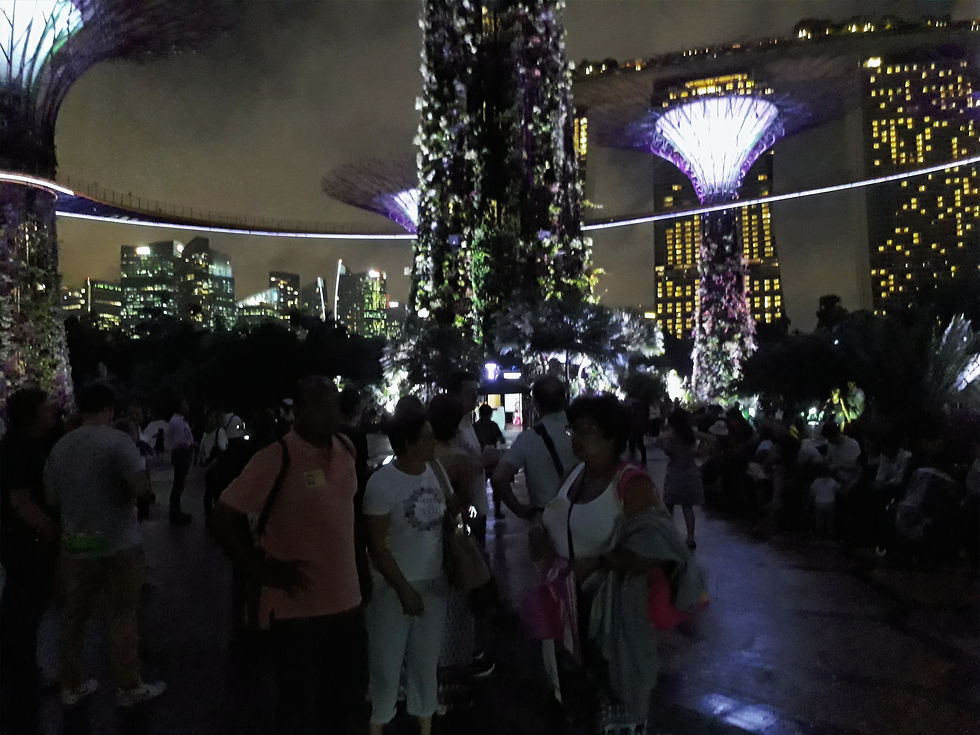 Gardens on the Bay in Singapore.