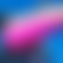 South Central - Festival Installations