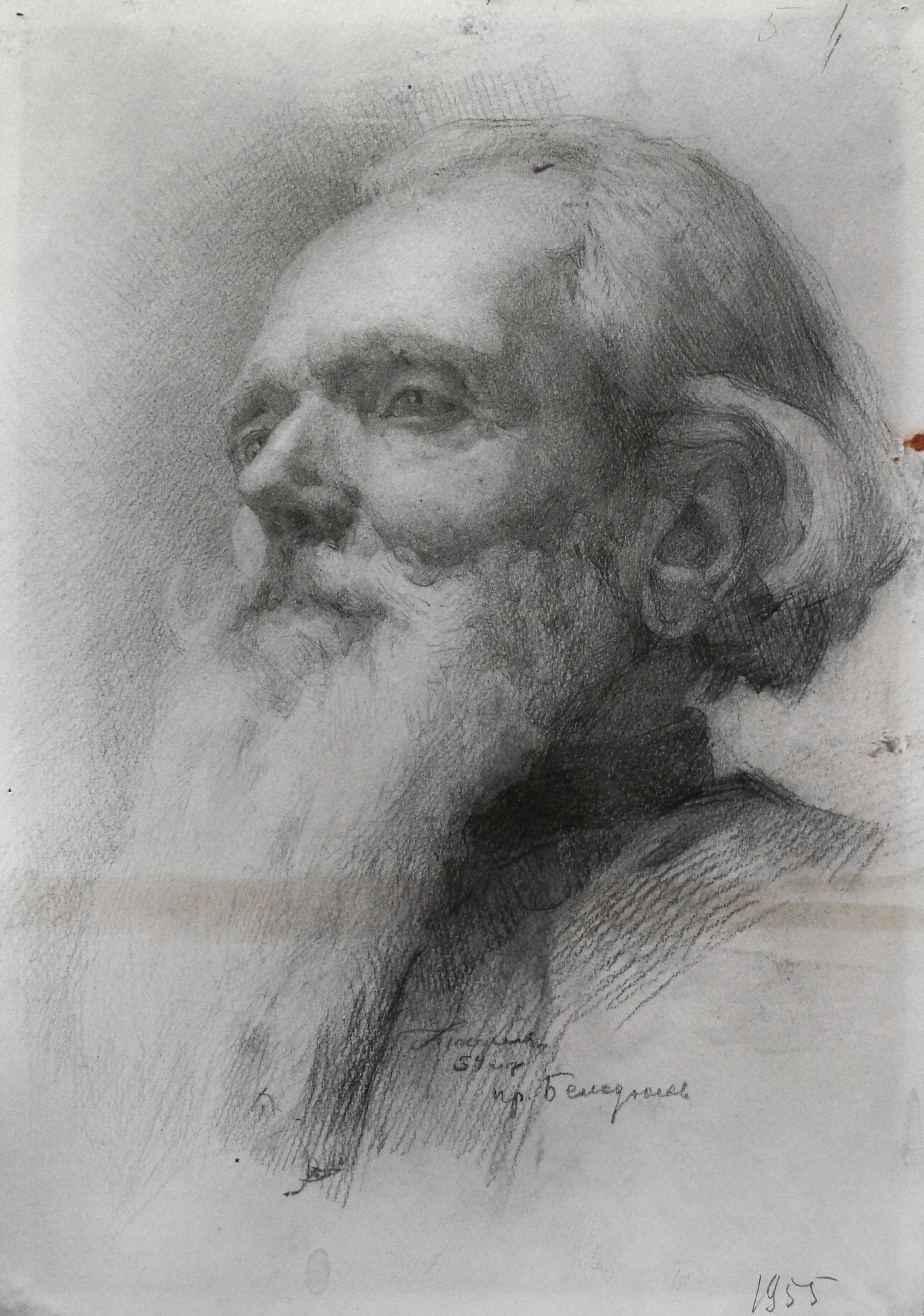 Portrait of an Old Man