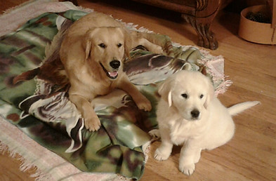 Ginny & Nabisco (2).jpeg