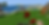 IMG_8696 (1).png
