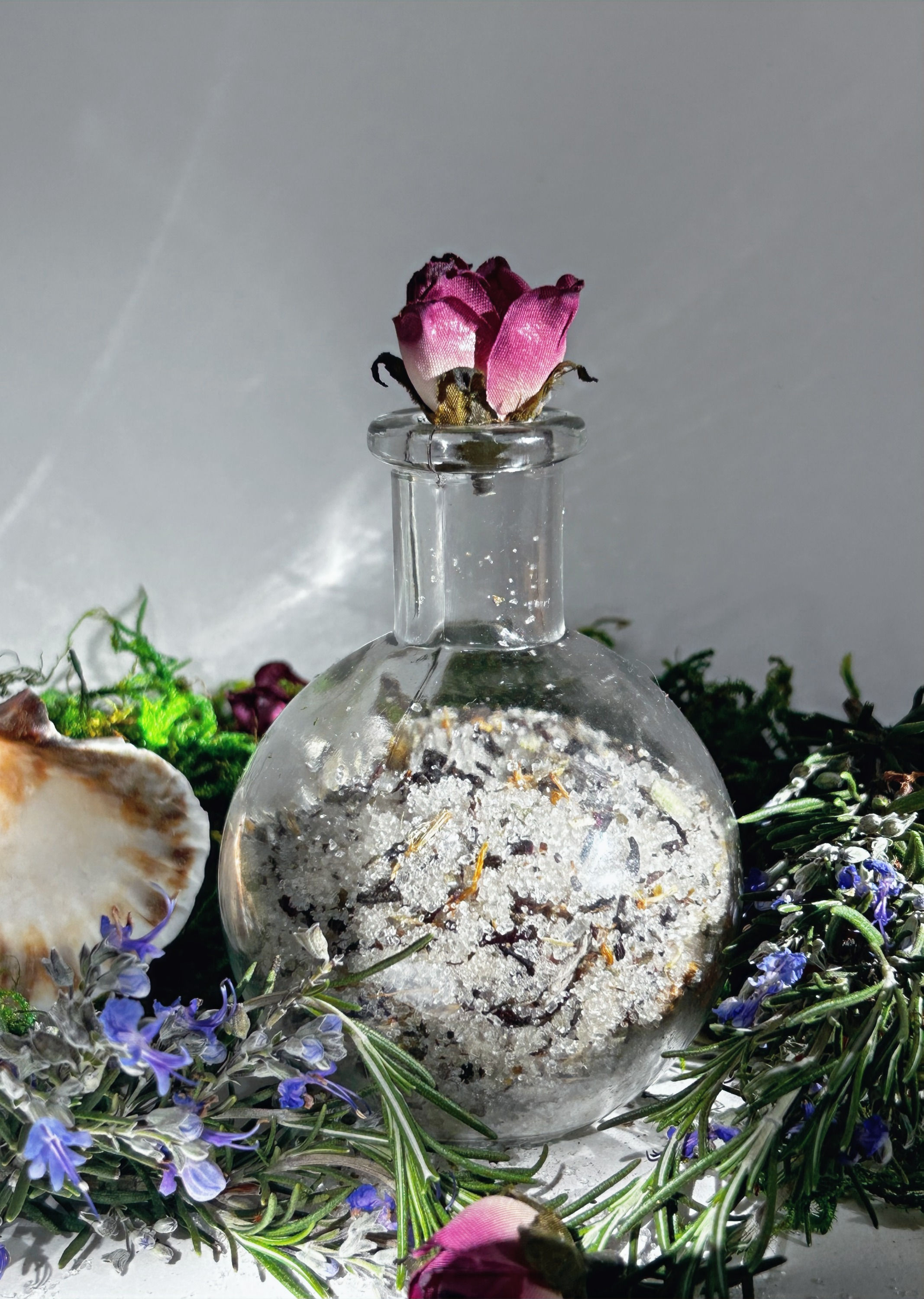 ⭒ Rosemary Ginger ⭒